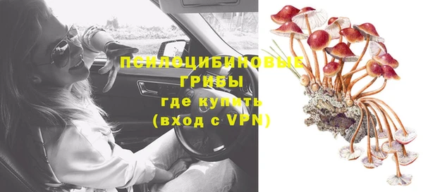 крисы Зеленокумск