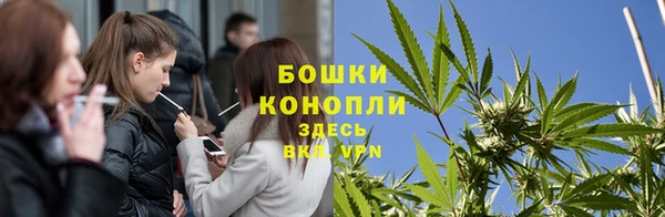 крисы Зеленокумск