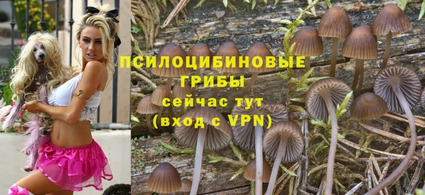 крисы Зеленокумск