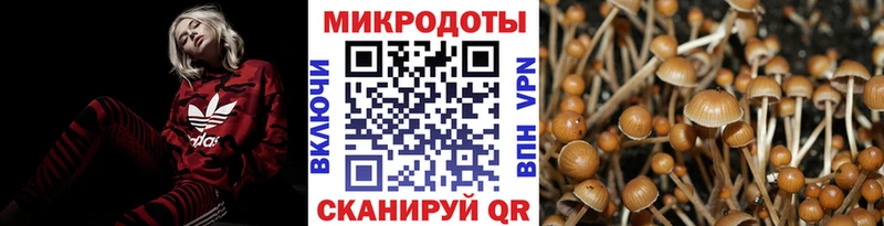 мега   Калачинск  Галлюциногенные грибы мухоморы 